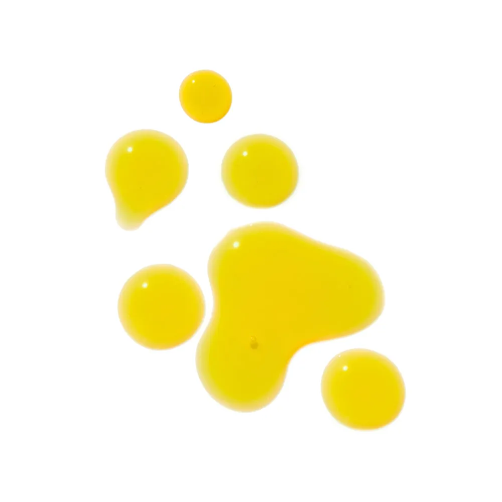 REGENERATE BOTANICAL SERUM