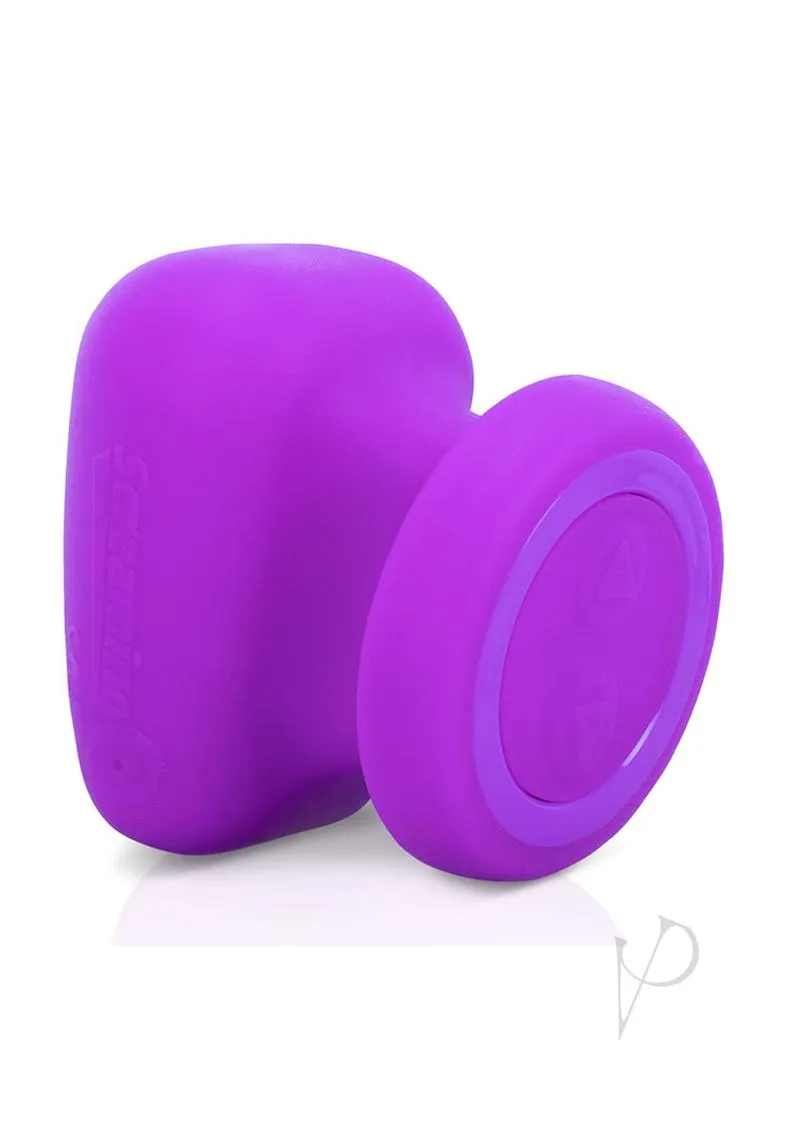 Rub It Purple-individual(disc)